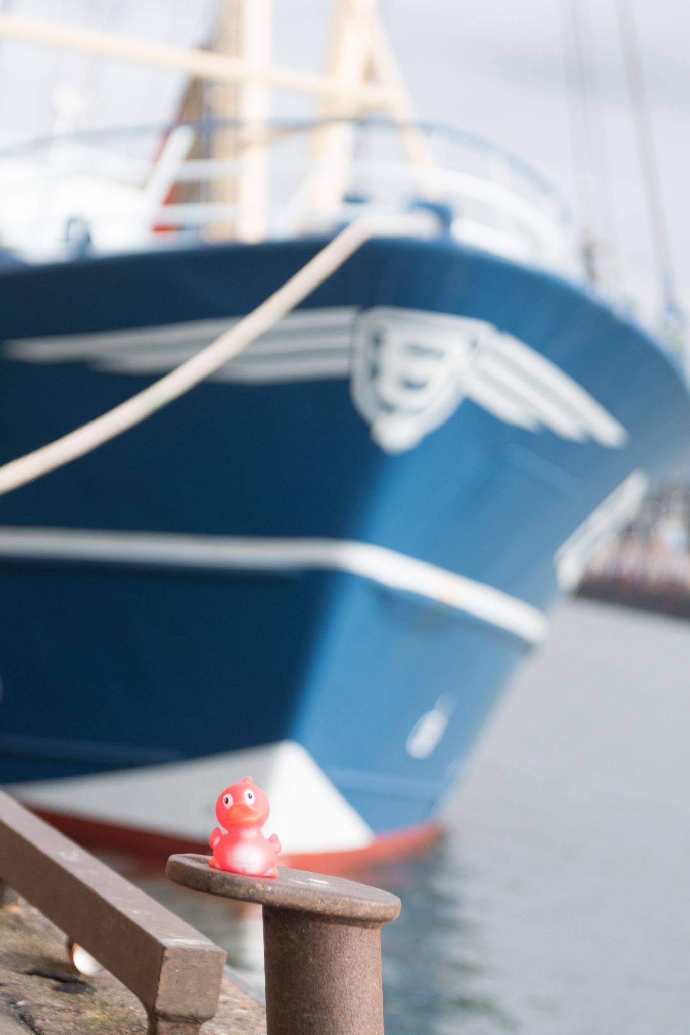 20230304   Fotoshoot IJmuiden   022